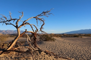 Death Valley